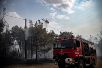 Θεσσαλονίκη: Προσήχθη νεαρός για πιθανό εμπρησμό στο Σέιχ Σου