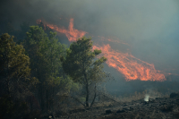Πού έχει φωτιά τώρα: Σε εξέλιξη 4 μέτωπα σε Χίο, Κω, Μονεμβασιά, Ηράκλειο - Όλες οι εξελίξεις