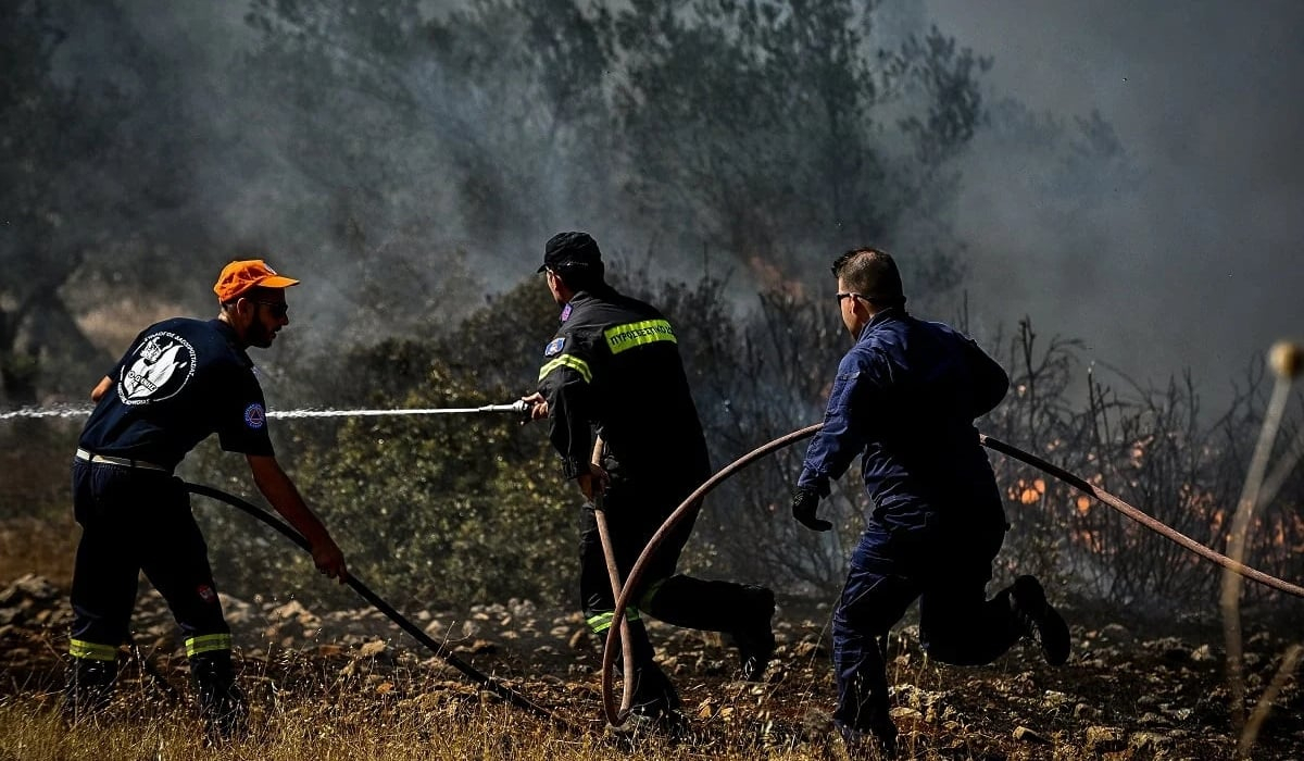 Φωτιά στην περιοχή Κρινήδα Σερρών - Στον αέρα 2 αεροσκάφη και 2 ελικόπτερα