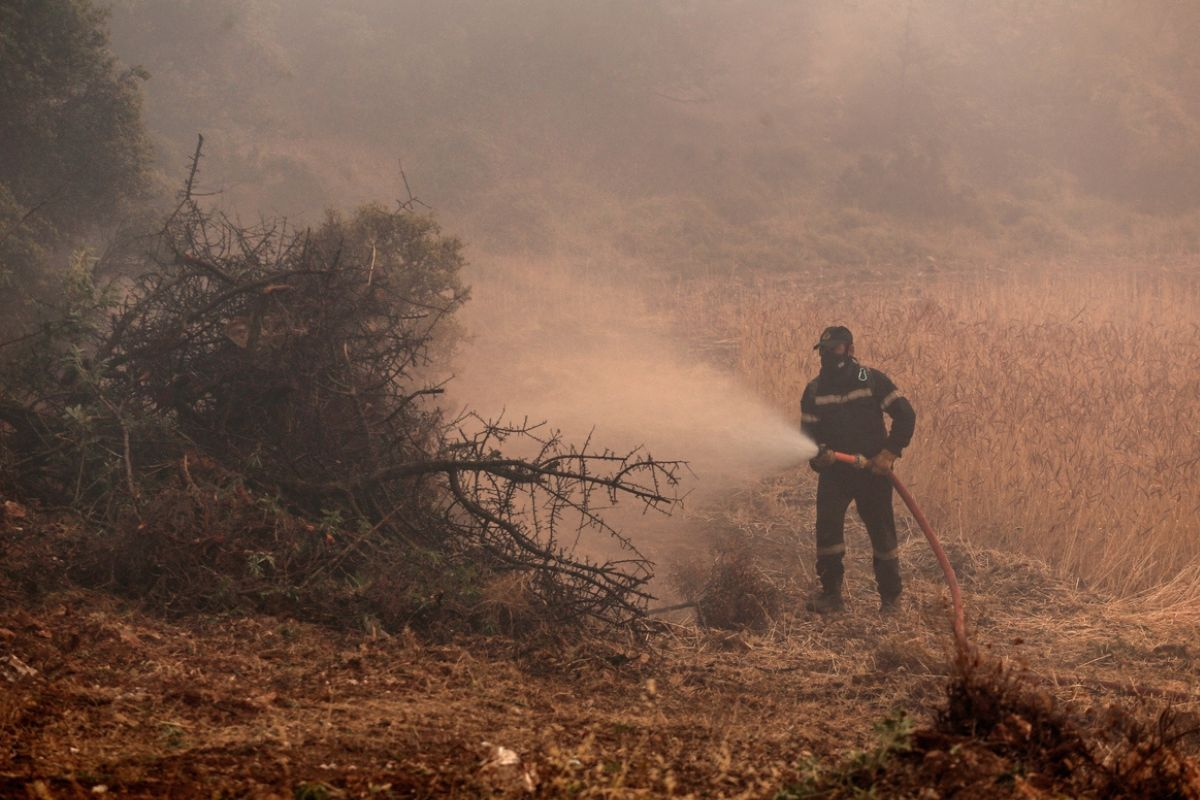 Δύσκολη η φωτιά στα Δερβενοχώρια: 15 χλμ. το μέτωπο - Κινείται προς Μαγούλα