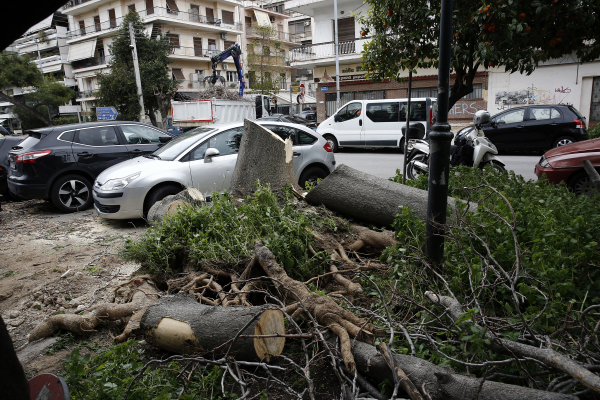 Προβλήματα από τους θυελλώδεις ανέμους στην Αττική