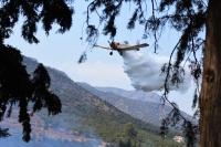 Φωτιά στον Έβρο - Σηκώθηκαν εναέρια μέσα