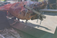 Κίσσαμος: Σφοδρές αντιδράσεις από το σούβλισμα ταύρου για τη γιορτή του Αγίου Πνεύματος