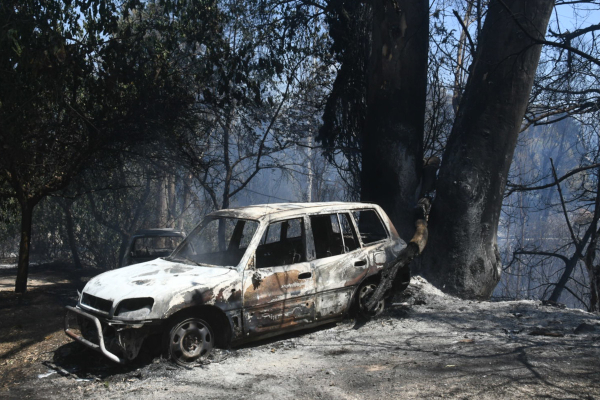 Τραγωδία στη Λέσβο: Από αυτοκίνητο που τράκαρε σε δέντρο η φωτιά - Νεκρός ο ηλικιωμένος οδηγός του