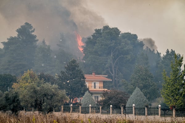 Φωτιές στην Ηλεία: Καλύτερη εικόνα στο Γεράκι Αμαλιάδας - Τραυματίστηκε σοβαρά πυροσβέστης (Εικόνες, Βίντεο)