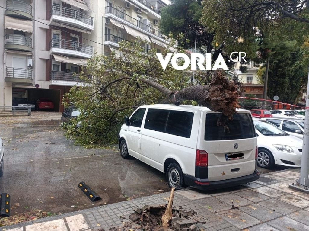 Η κακοκαιρία Bora σάρωσε τη Θεσσαλονίκη: Πλημμύρισαν δρόμοι, έπεσαν δέντρα και ήχησε το 112 (εικόνες, βίντεο)