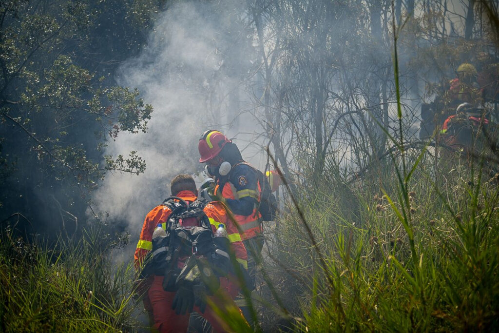 Υπό μερικό έλεγχο οι φωτιές σε Ροδόπη, Σέρρες και Θεσσαλονίκη