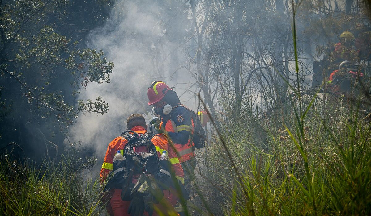 Υπό μερικό έλεγχο οι φωτιές σε Ροδόπη, Σέρρες και Θεσσαλονίκη