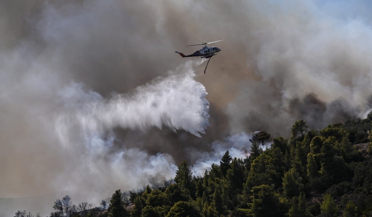 Φωτιά στον Έβρο: Στάχτη πάνω από 75.000 στρέμματα – Η πρώτη αποτίμηση με τις καμένες εκτάσεις