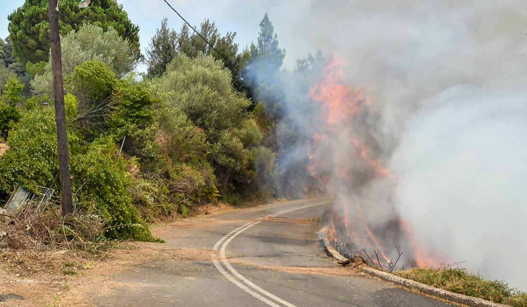 Μάχη με τις αναζωπυρώσεις σε Γορτυνία, Ανατολική Μάνη και Ηλεία