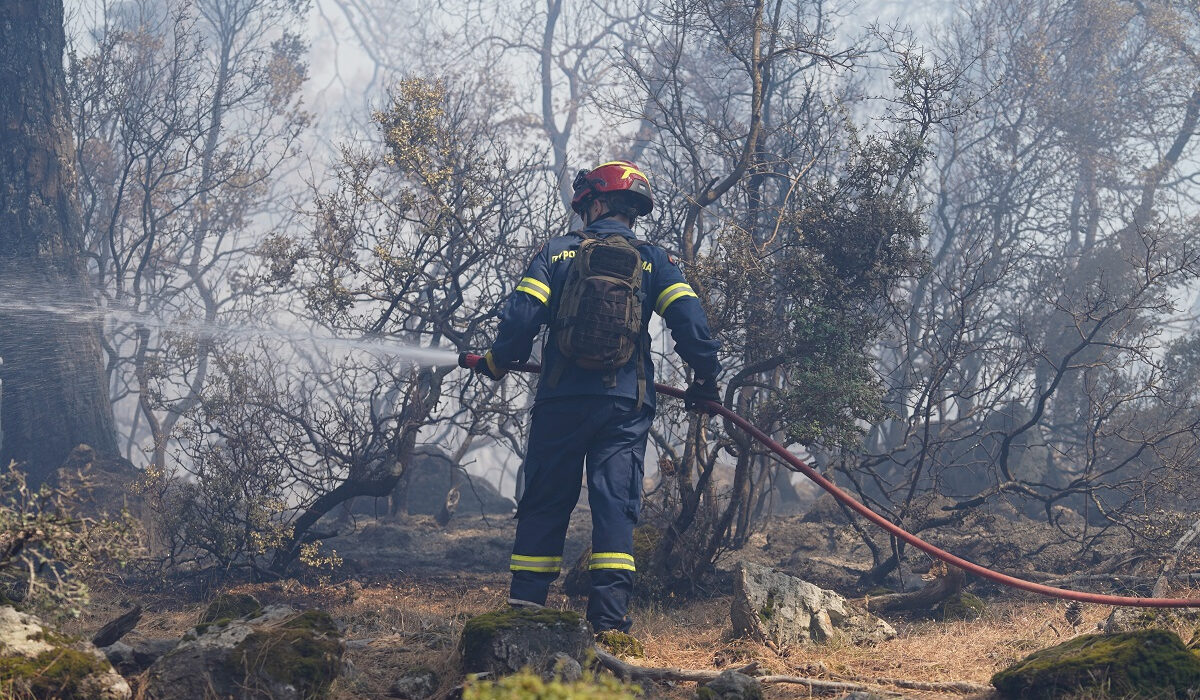 Θεσπρωτία: Οριοθετήθηκε η φωτιά στη Σαγιάδα