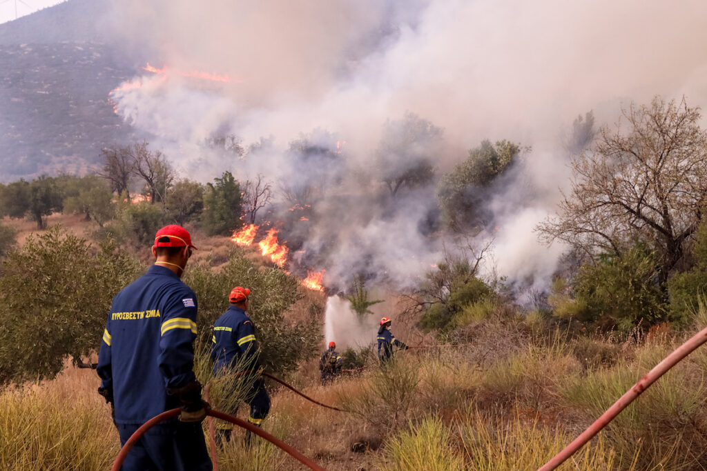 Συνεχίζεται η μάχη με τις φλόγες σε Πάρνηθα, Βοιωτία και Έβρο – Τα νεότερα δεδομένα