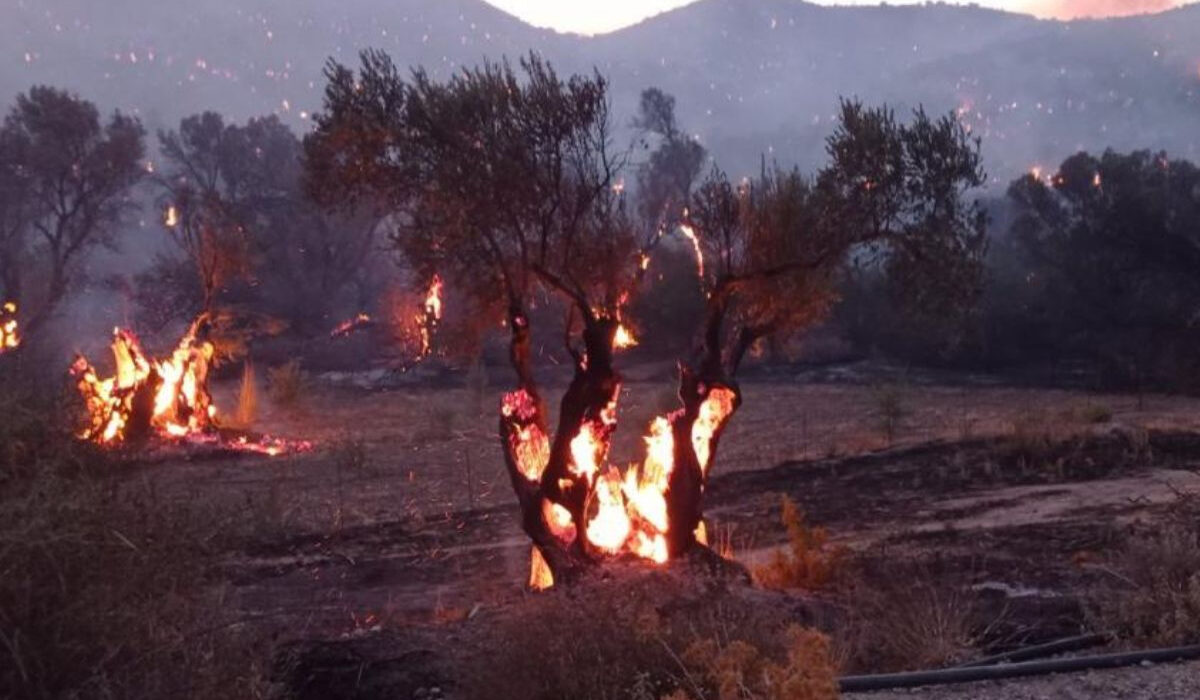 Φωτιά στο Ρέθυμνο: Κόπασαν οι άνεμοι – Καίνε διάσπαρτες εστίες, 222 Πυροσβέστες και Δασοκομάντος επί ποδός