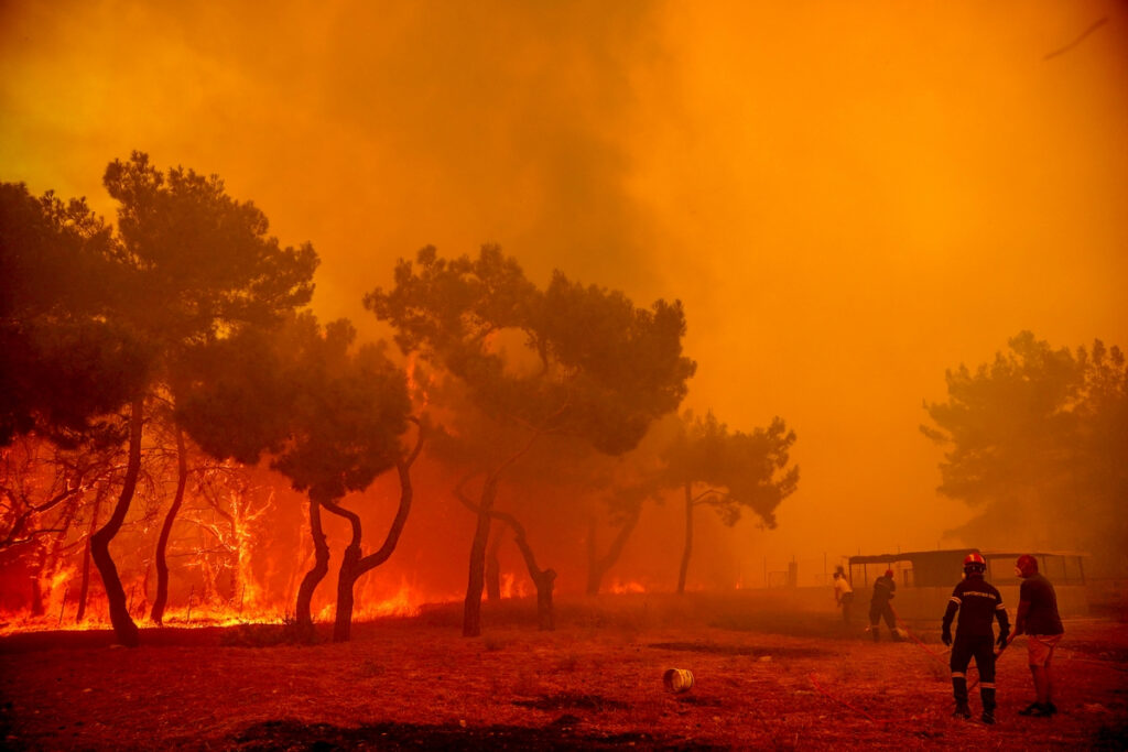 Νύχτα τρόμου στο δάσος της Δαδιάς: Εκκενώθηκε το χωριό, ήχησε το «112»