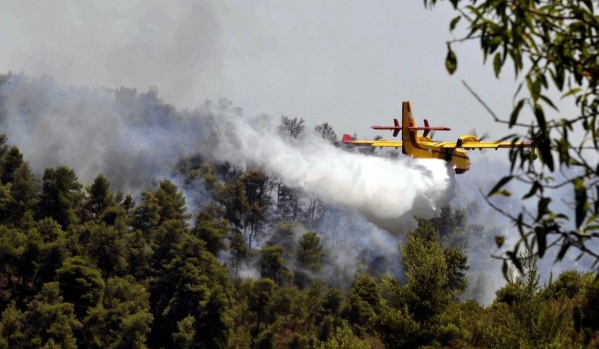 Φωτιά τώρα στη Βοιωτία – Καίει αγροτοδασική έκταση