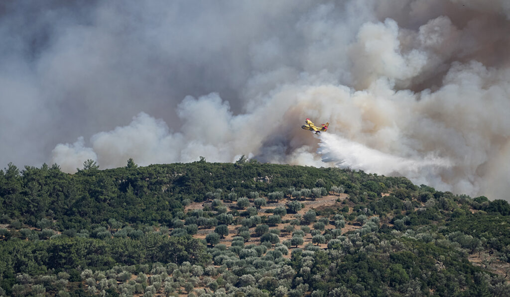 Φωτιά τώρα στα Κηπιά Καβάλας