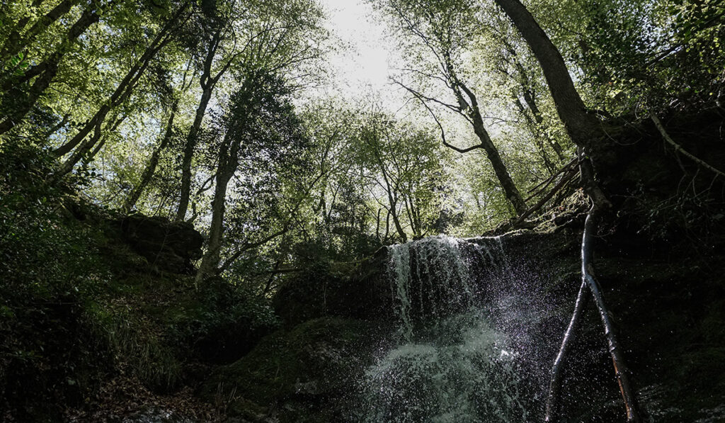 Προστατευόμενες περιοχές Natura: Αντιδράσεις από 11 οργανώσεις