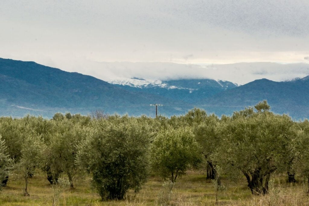 Επιστρέφουν οι Αλκυονίδες και η… ζέστη: Πότε χαλάει ο καιρός