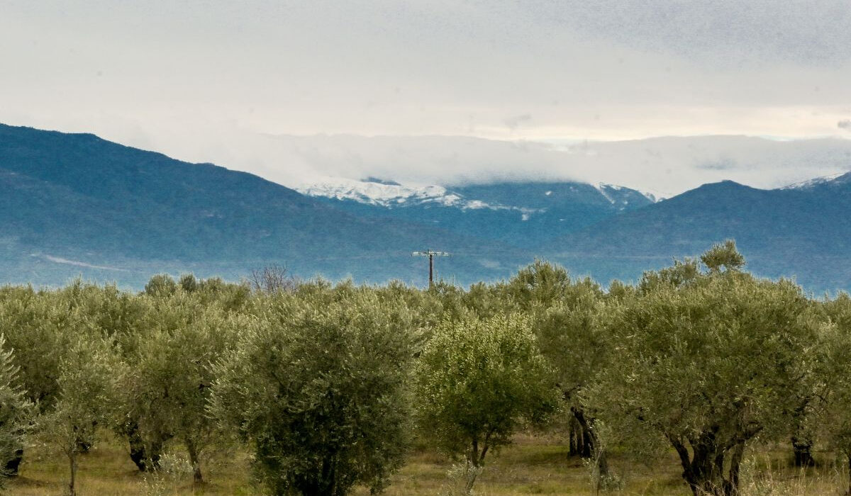 Επιστρέφουν οι Αλκυονίδες και η… ζέστη: Πότε χαλάει ο καιρός