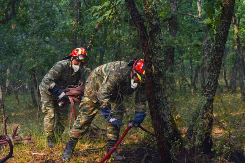 Φωτιές: 38 συλλήψεις για εμπρησμό μέχρι τον Ιούλιο