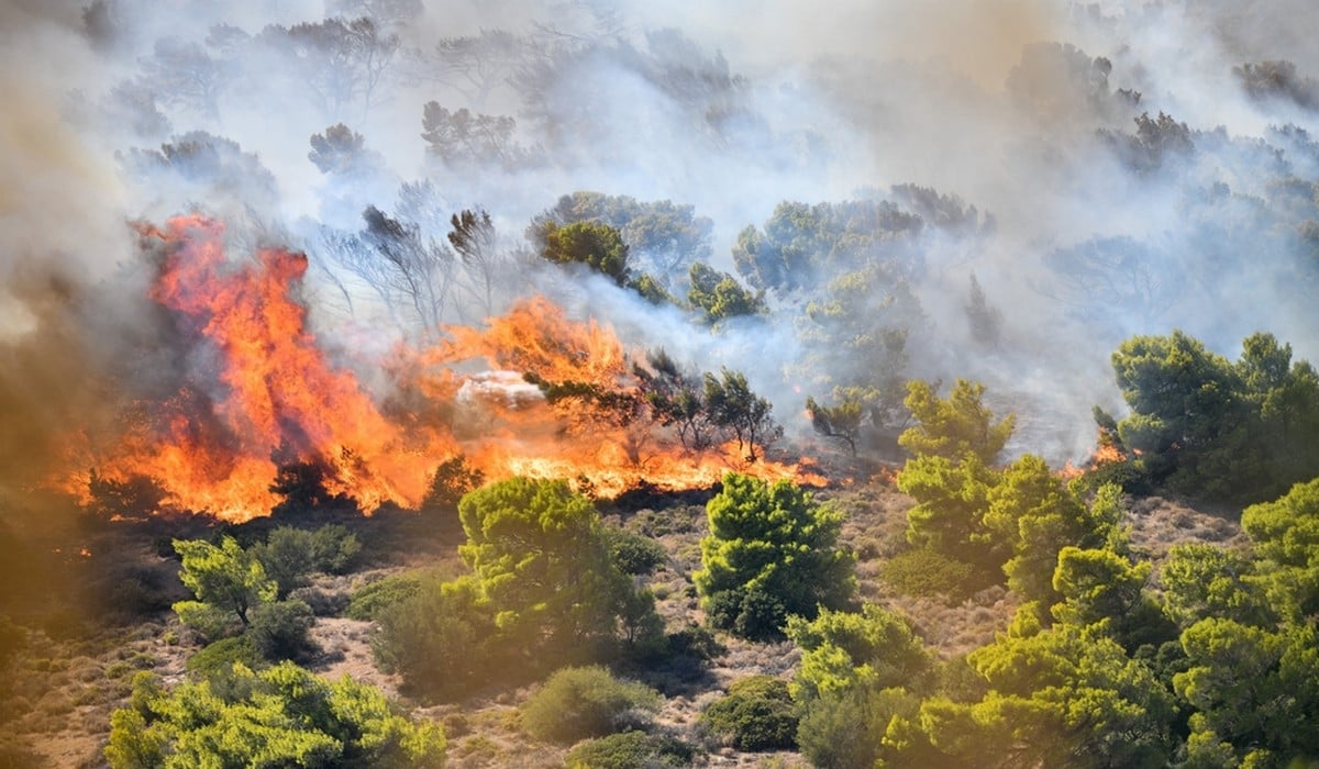 Φωτιά στα Βίλια: Πόση ένταση θα έχουν οι άνεμοι τις επόμενες ώρες