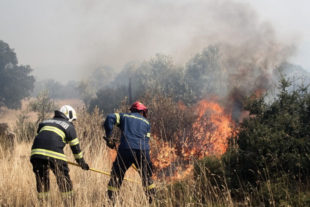 Νέα φωτιά στην Ηλεία – Καίει δασική έκταση στο χωριό Ροδιά