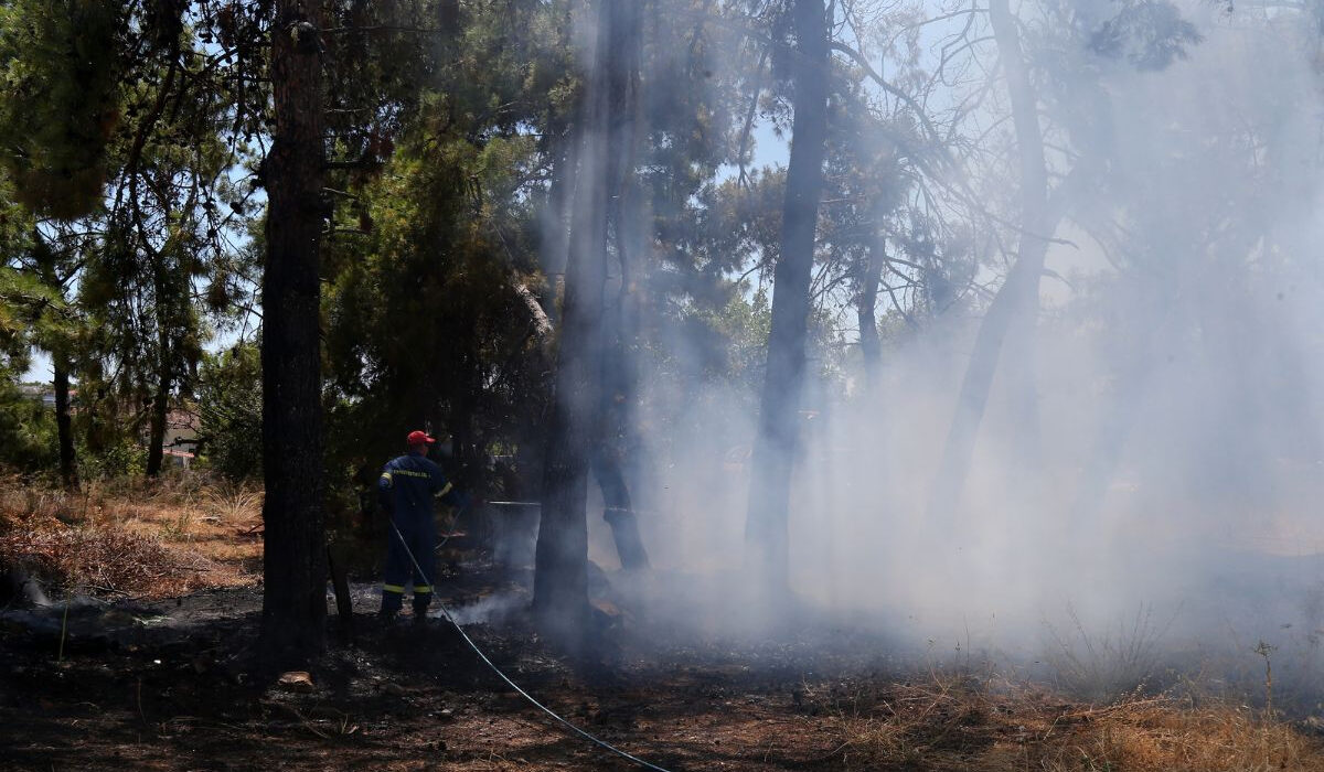 Φωτιά τώρα στη Σάμο – Συναγερμός στην Πυροσβεστική