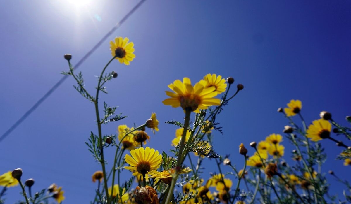 Ο καιρός σήμερα, Κυριακή 22/05