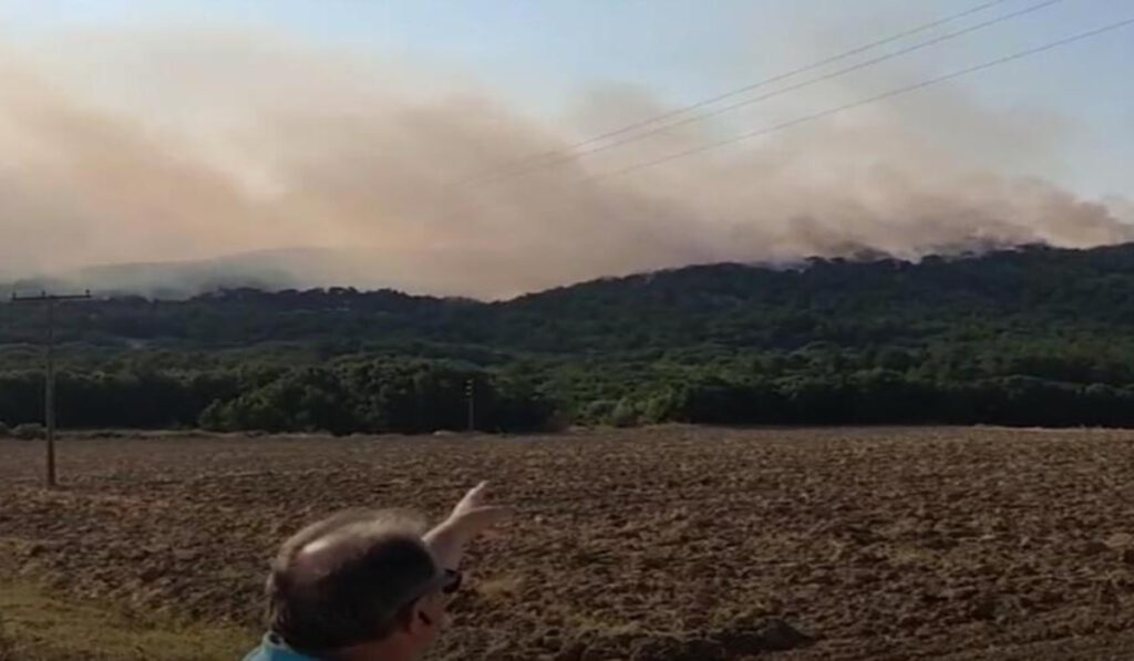 Με σύμμαχο τον άνεμο η φωτιά στο Δάσος της Δαδιάς – Επιστρέφουν στα σπίτια τους οι κάτοικοι στα Βατερά