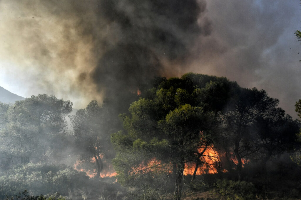 Φωτιά στα Δερβενοχώρια: Ήχησε το «112» – Εκτός ελέγχου το πύρινο μέτωπο στο πευκοδάσος του Κιθαιρώνα