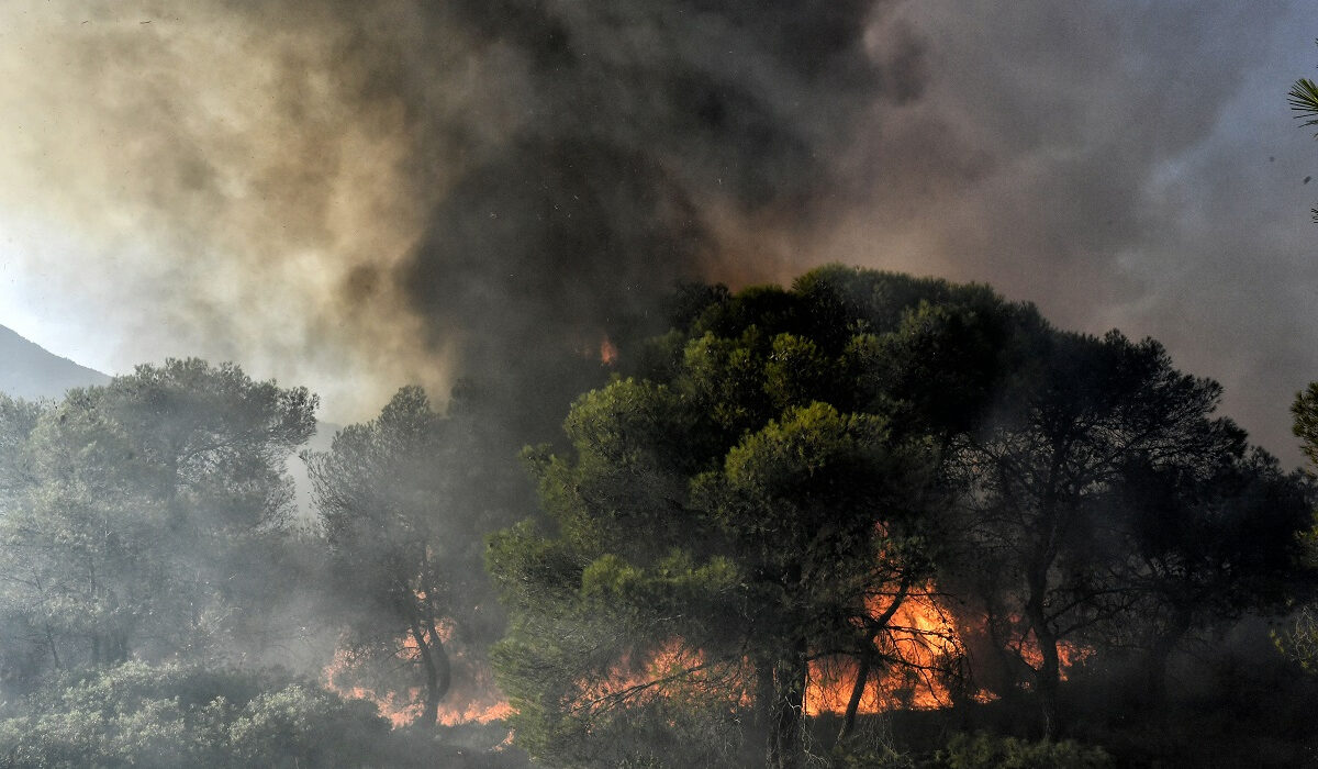 Φωτιά στα Δερβενοχώρια: Ήχησε το «112» – Εκτός ελέγχου το πύρινο μέτωπο στο πευκοδάσος του Κιθαιρώνα