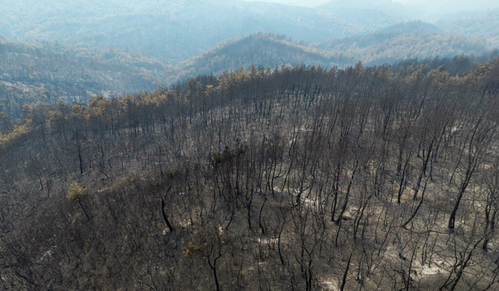 Φωτιές: Αποκαρδιωτικός ο απολογισμός – Κάηκε το 58% του δάσους της Δαδιάς στον Έβρο