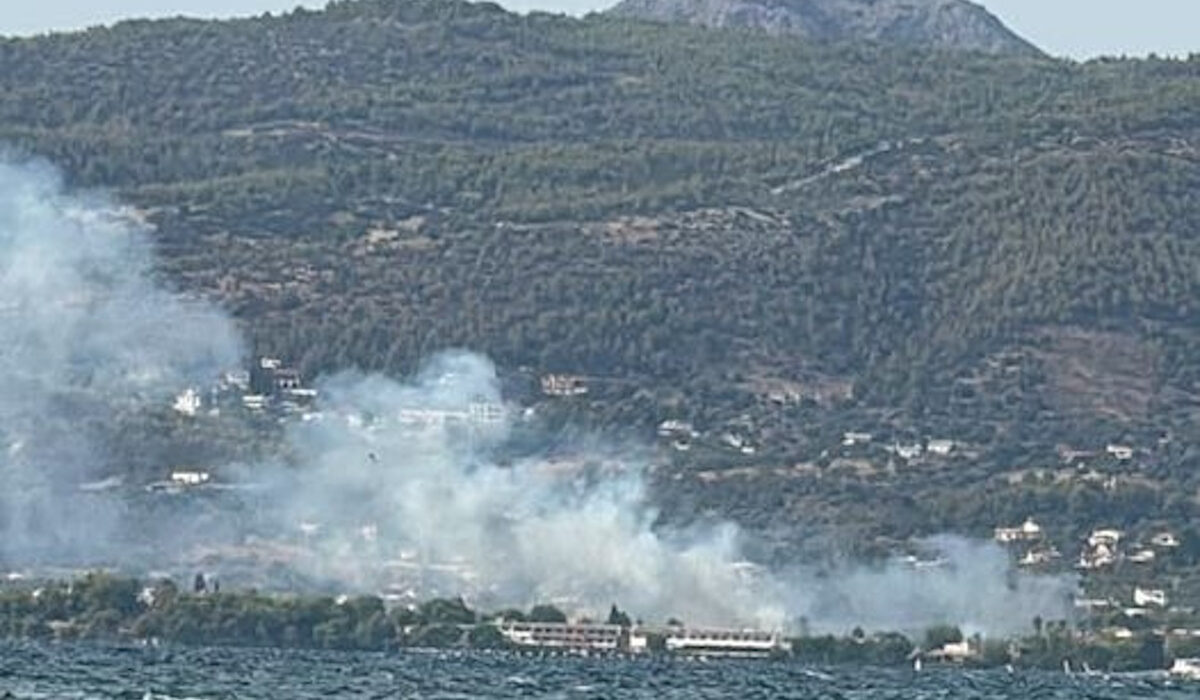 Υπό έλεγχο η φωτιά στην Ερέτρια