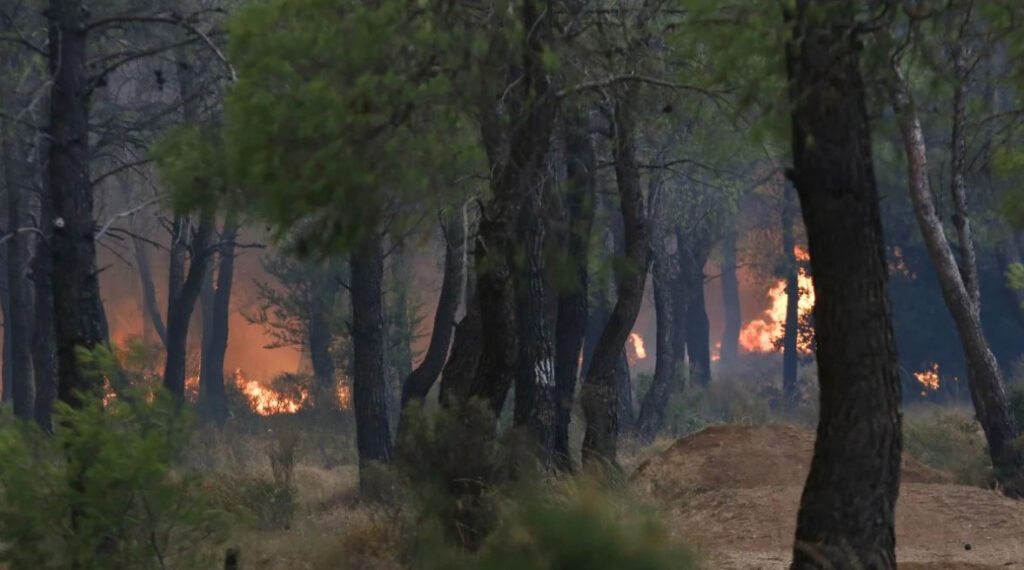 Φωτιά στην Αρχαία Ολυμπία: Καίει δάσος στα Λάσδικα