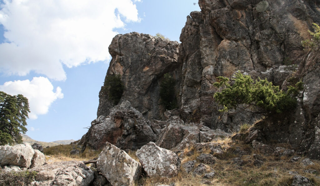 Ιεράπετρα: Βρέθηκε ανθρώπινος σκελετός μαζί με ταυτότητα – Η υπόθεση που ανοίγει ξανά