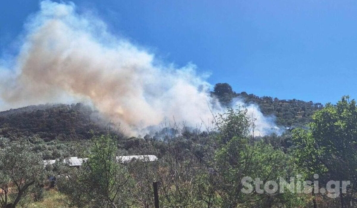 Φωτιά στη Μόρια Λέσβου – Και εναέρια μέσα στη μάχη της κατάσβεσης