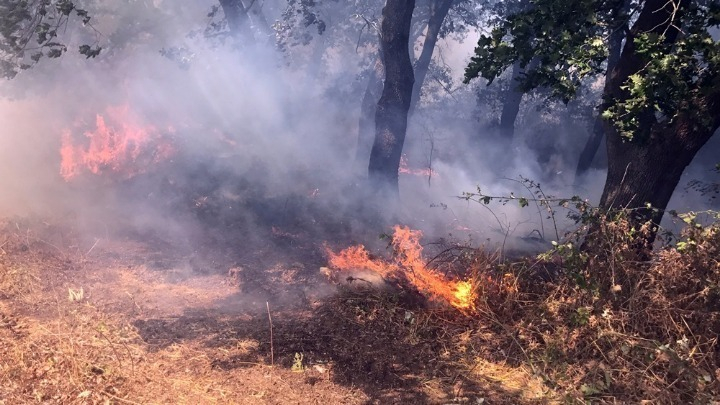 Σε εξέλιξη φωτιά στην νότια Κέρκυρα