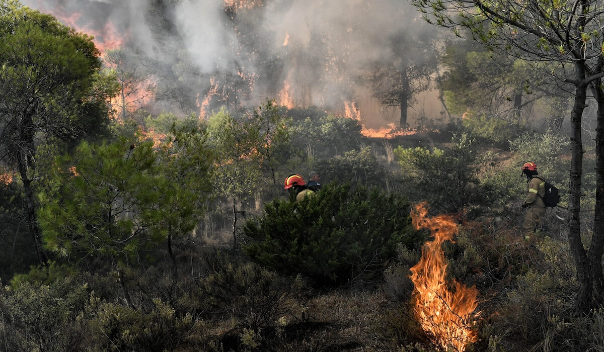 Φωτιά τώρα στο Κιλκίς – Μεγάλη κινητοποίηση της Πυροσβεστικής