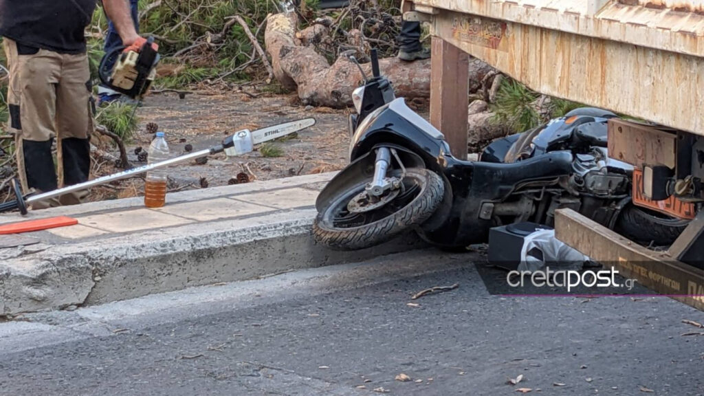 Κρήτη: Παρέμβαση εισαγγελέα για τον θάνατο του 51χρονου από πτώση δέντρου