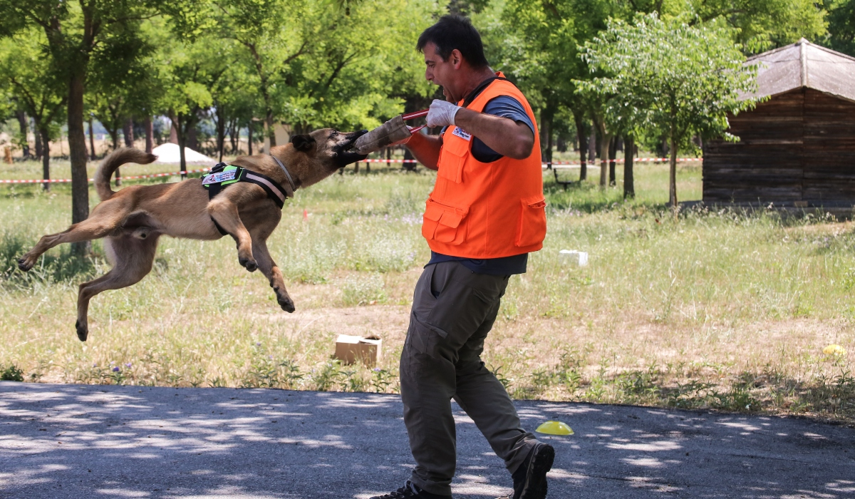 Λάρισα: Πέντε βελγικοί ποιμενικοί στη μάχη κατά των δηλητηριασμένων δολωμάτων