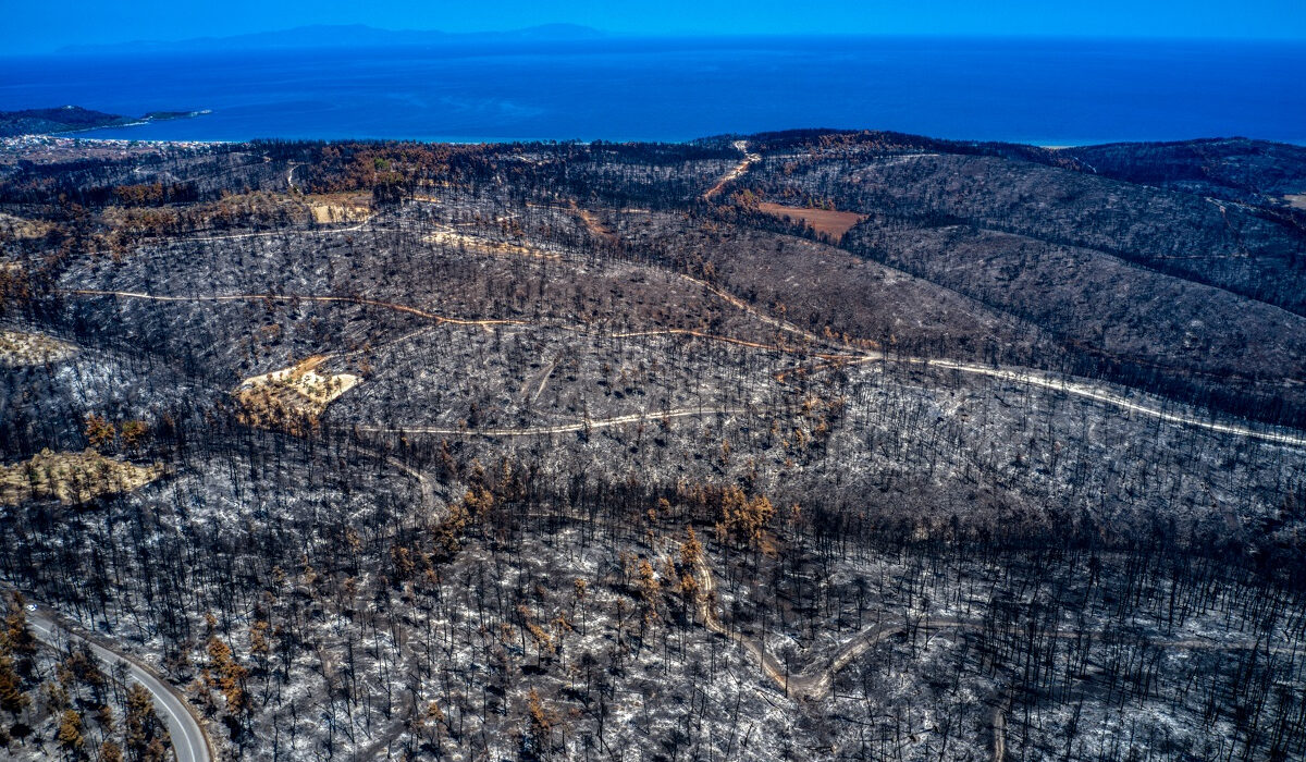 Φωτιές σε Αττική, Εύβοια, Ηλεία: Στη Βουλή οι εργασίες αποκατάστασης