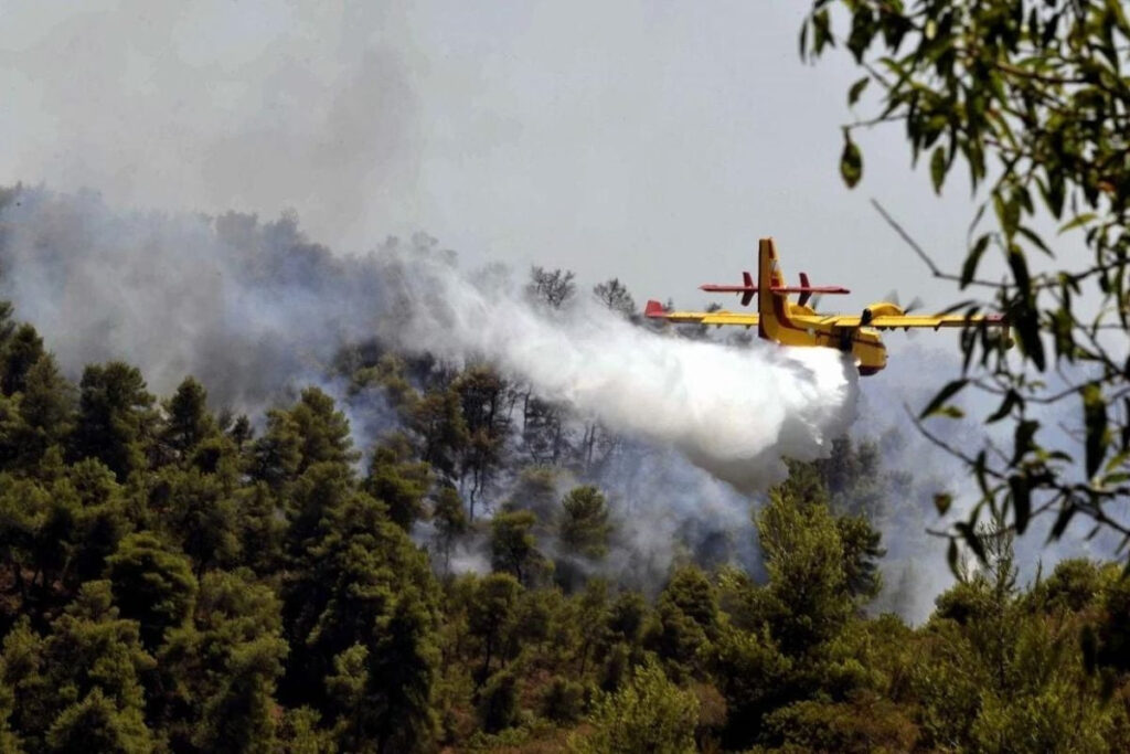 Αλίαρτος: Tο πρώτο 112 του καλοκαιριού για φωτιά – «Παραμείνετε σε ετοιμότητα»