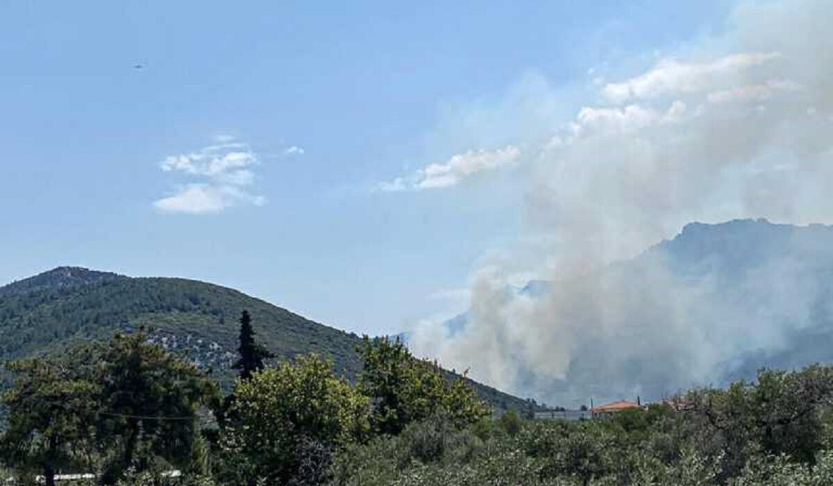 Φωτιά τώρα στη Θάσο – Επιχειρούν επίγεια και εναέρια μέσα