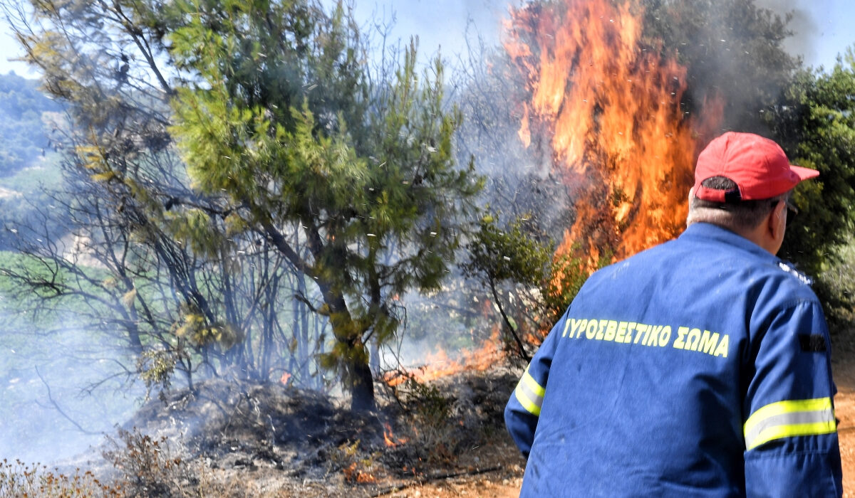 Οριοθετήθηκε η φωτιά στο Δήλεσι