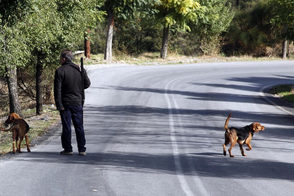 Νέα απαγόρευση για το κυνήγι