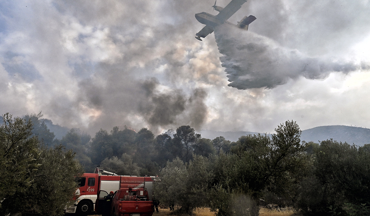 Φωτιά στην περιοχή Αρραβωνίτσα της Αιγιάλειας