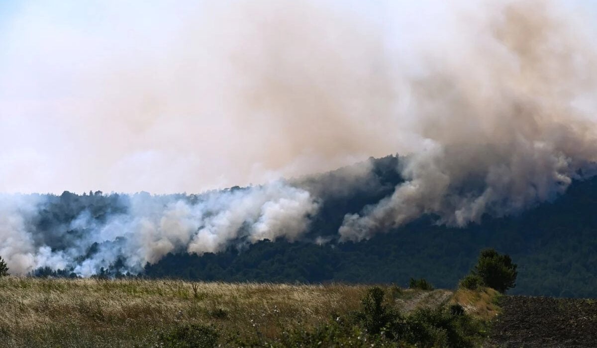 Καλπάκης: Να ζητήσει συγνώμη η ΕΡΤ