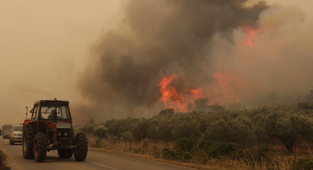 Φωτιά στον Έβρο: Σε ύφεση η πυρκαγιά – Συνεχίζουν να επιχειρούν επίγειες και εναέριες δυνάμεις