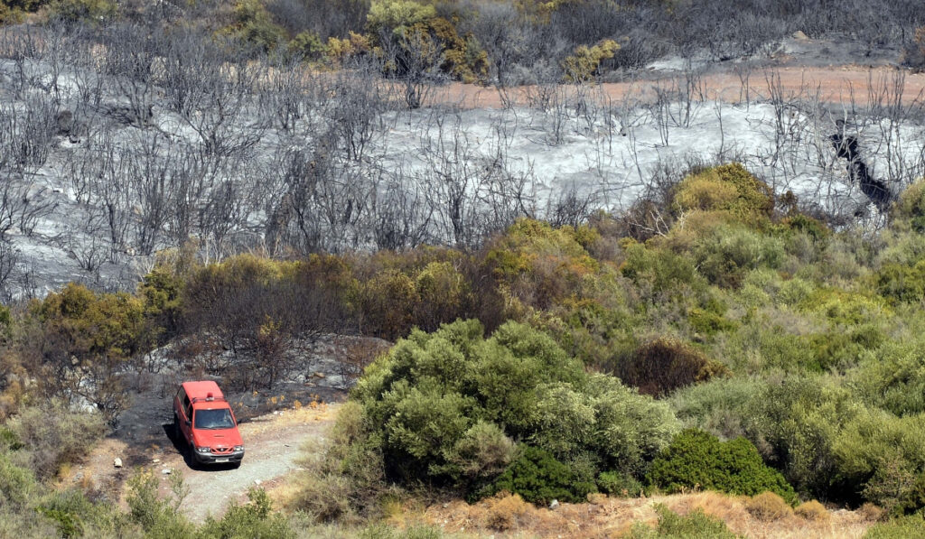 Ομολόγησε 30χρονος για τρεις φωτιές στη Μεσσηνία