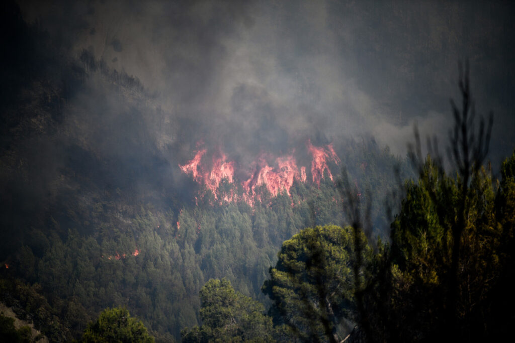 Υπό έλεγχο οι φωτιές σε Αλποχώρι Ηλείας και Νέα Αρτάκη Ευβοίας